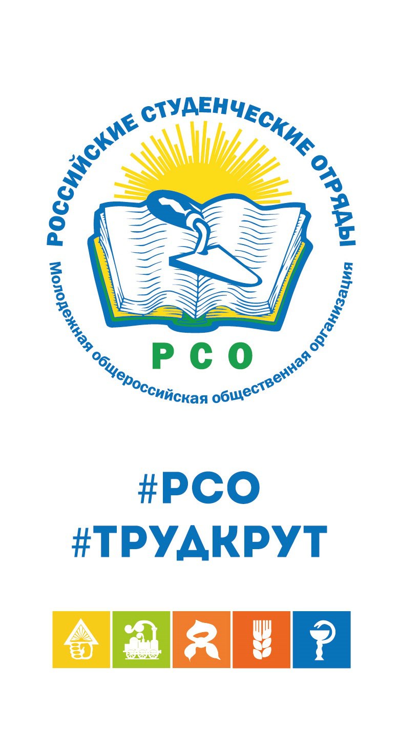 Трудовой проект рсо